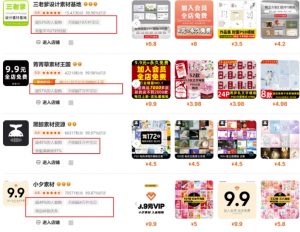 0成本虚拟项目实战手把手教你落地，单店月入5k-搞个副业