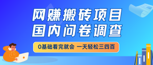 网赚搬砖项目，国内问卷调查，0基础看完就会 一天轻松三四百，靠谱副业...-搞个副业