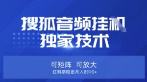 【搜狐音频挂G】独家技术，可矩阵可放大，红利期稳定月入8k【揭秘】-搞个副业