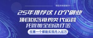 25年推荐这10个副业项目包含褂鸡类、代运营托管类、全自动打金类【揭秘】-搞个副业