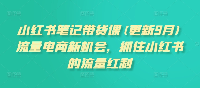小红书笔记带货课(更新25年3月)流量电商新机会，抓住小红书的流量红利-搞个副业