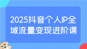 2025抖音个人IP全域流量变现进阶课：选爆品、抖音付费投流、千川投流实操及优化等-搞个副业