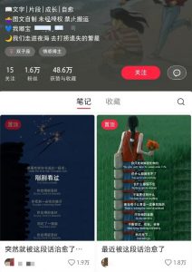 小红书治愈文案图文笔记，零门槛，一分钟制作轻松制作爆款作品月入万元-搞个副业