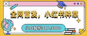 小红书种草，手机项目，日入3张，复制黏贴即可，可矩阵操作，动手不动脑【揭秘】-搞个副业