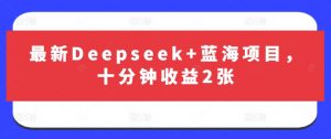 最新Deepseek+蓝海项目，十分钟收益2张-搞个副业