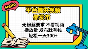 平台提供视频 你发布 无粉丝要求 不看视频播放量 发布就有钱 轻松一天300+-搞个副业