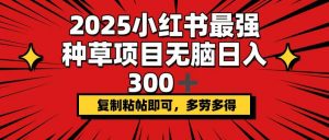 2025小红书最强种草项目，无脑日入300+，复制粘帖即可，多劳多得-搞个副业