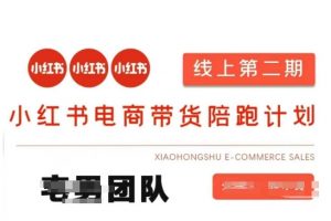 小红书电商带货课2期，月利润20个的小红书电商的有货源，无货源，虚拟产品，付费投流等整套玩法-搞个副业