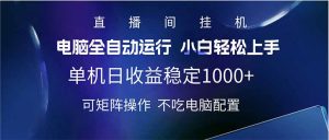 2025直播间最新玩法单机日入1000+ 全自动运行 可矩阵操作-搞个副业