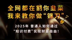 全网都在割你韭菜，我来教你做镰刀,2025普通人如何通过知识付费，实现财F自由【揭秘】-搞个副业