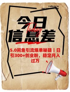 5.0闲鱼引流爆单秘籍，日引300+创业粉，稳定月入过W-搞个副业