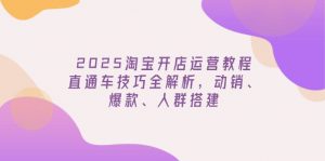 2025淘宝开店运营教程更新，直通车技巧全解析，动销、爆款、人群搭建-搞个副业