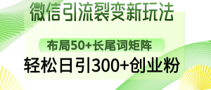 微信引流裂变新玩法：布局50+长尾词矩阵，轻松日引300+创业粉-搞个副业