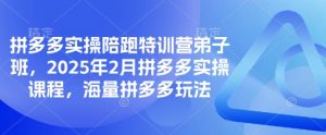 拼多多实操陪跑特训营弟子班，2025年2月拼多多实操课程，海量拼多多玩法-搞个副业