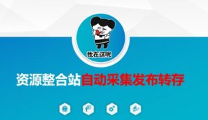 资源整合站自动采集发布转存，解放双手-搞个副业