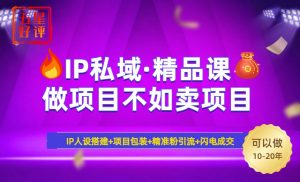 2025年“IP私域·密训精品课”，日赚3000+小白避坑年赚百万，暴力引流...-搞个副业