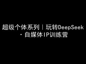 超级个体系列，玩转DeepSeek·自媒体IP训练营，deepseek教程-搞个副业