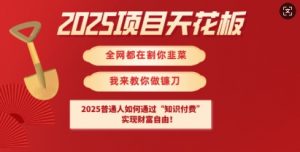 2025项目天花板普通人如何通过知识付费，实现财F自由【揭秘】-搞个副业