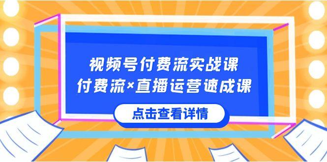 视频号付费流实战课，付费流×直播运营速成课，让你快速掌握视频号核心运营技能-搞个副业