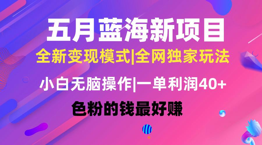 五月蓝海项目全新玩法，小白无脑操作，一天几分钟，矩阵操作，月入4万+-搞个副业