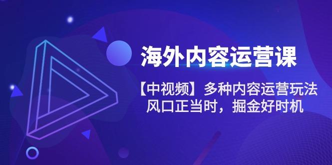 海外内容 运营课【中视频】多种内容运营玩法 风口正当时 掘金好时机-101节-搞个副业