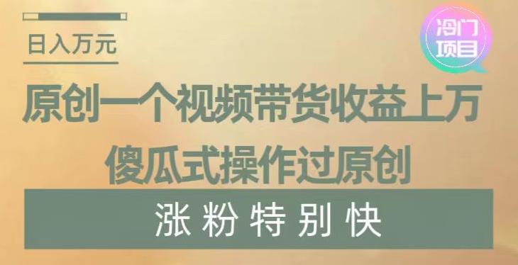 原创一个视频带货收益上万，傻瓜式操作过原创，几分钟做一个视频涨粉特别快【揭秘】-搞个副业
