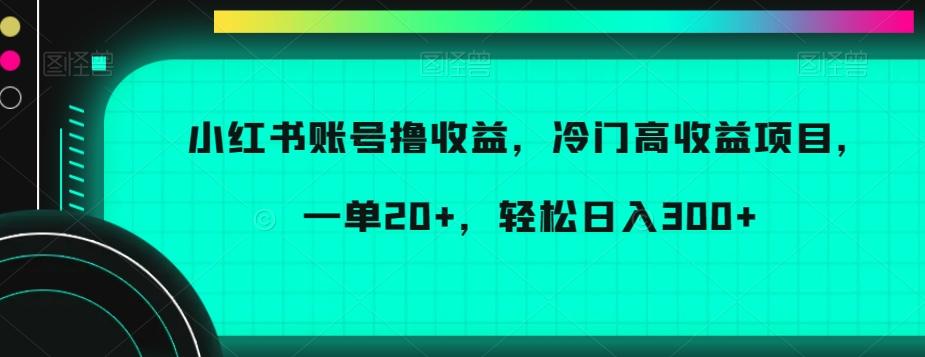 小红书账号撸收益，冷门高收益项目，一单20+，轻松日入300+【揭秘】-搞个副业