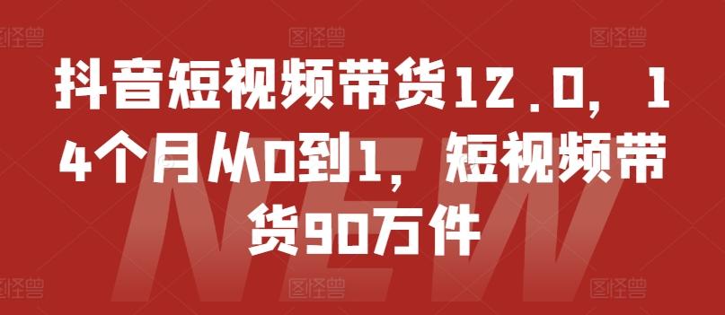 抖音短视频带货12.0，14个月从0到1，短视频带货90万件-搞个副业