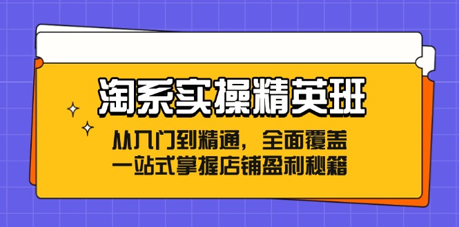 淘系实操精英班：从入门到精通，全面覆盖，一站式掌握店铺盈利秘籍-搞个副业