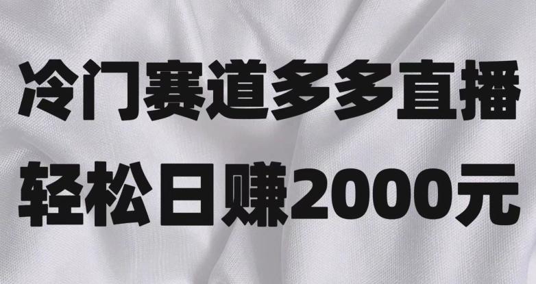 冷门赛道拼多多直播，简单念稿子，日收益2000＋【揭秘】-搞个副业