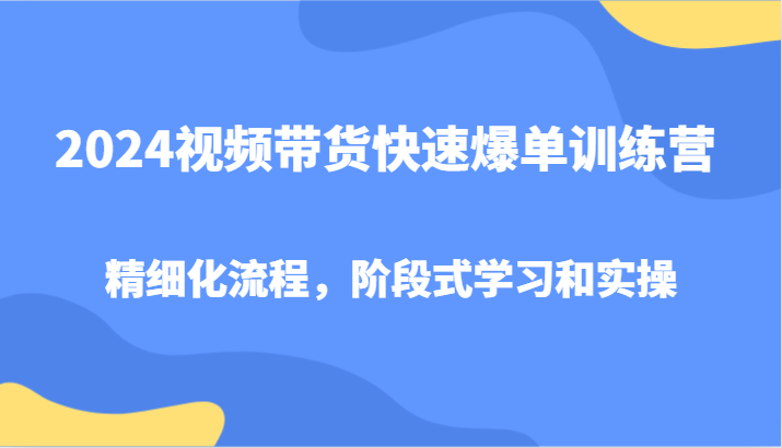 2024视频带货快速爆单训练营，精细化流程，阶段式学习和实操-搞个副业