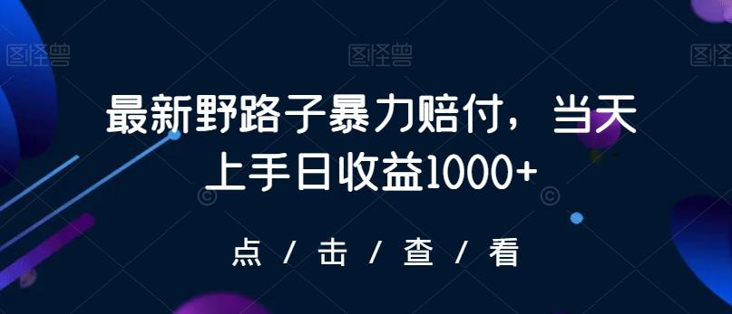 最新野路子暴力赔付，当天上手日收益1000+【仅揭秘】-搞个副业