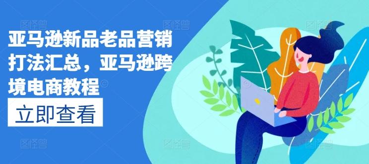 亚马逊新品老品营销打法汇总，亚马逊跨境电商教程-搞个副业