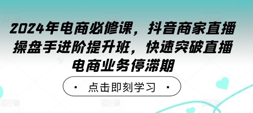 2024年电商必修课，抖音商家直播操盘手进阶提升班，快速突破直播电商业务停滞期-搞个副业