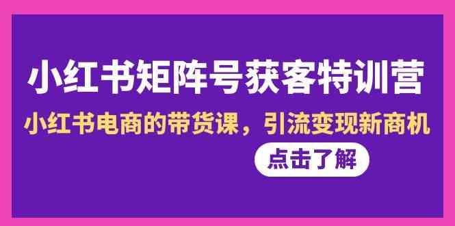 小红书矩阵号获客特训营-第10期，小红书电商的带货课，引流变现新商机-搞个副业