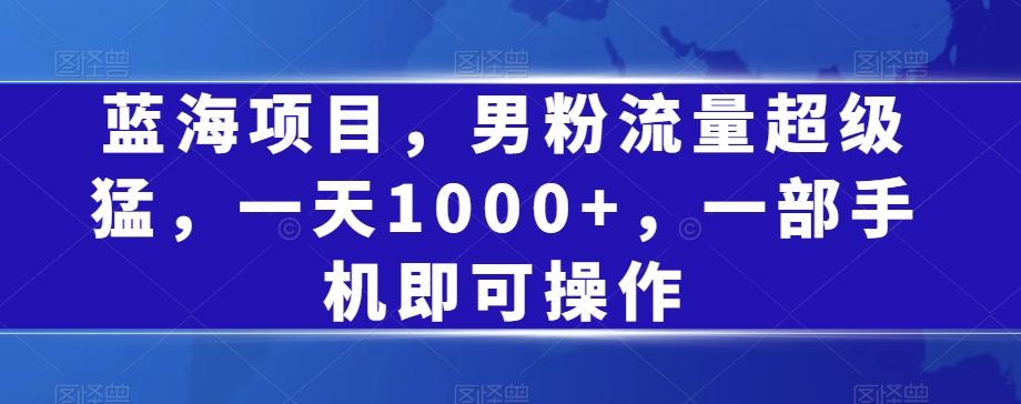 蓝海项目，男粉流量超级猛，一天1000+，一部手机即可操作【揭秘】-搞个副业