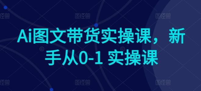 Ai图文带货实操课，新手从0-1 实操课-搞个副业