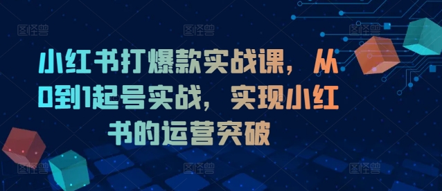 小红书打爆款实战课，从0到1起号实战，实现小红书的运营突破-搞个副业