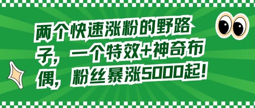 两个快速涨粉的野路子，一个特效+神奇布偶，粉丝暴涨5000起【揭秘】-搞个副业
