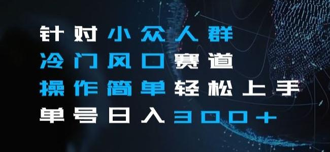 针对小众人群冷门风口赛道，操作简单轻松上手单号日入300+-搞个副业