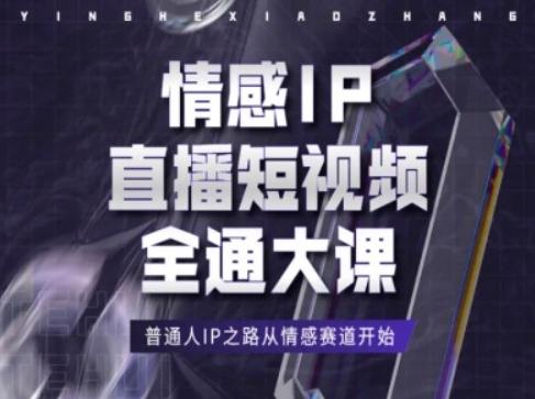 情感IP直播短视频全通大课，普通人IP之路从情感赛道开始-搞个副业