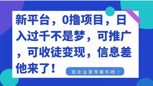 不要再花冤枉钱了，0撸项目，每天坚持，稳定1000+-搞个副业