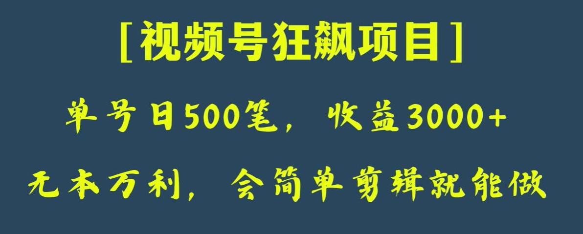 日收款500笔，纯利润3000+，视频号狂飙项目，会简单剪辑就能做【揭秘】-搞个副业
