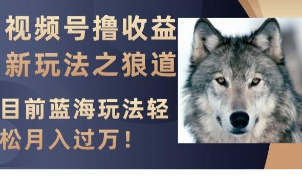视频号撸收益新玩法之狼道，目前蓝海玩法，轻松月入过万【揭秘】-搞个副业