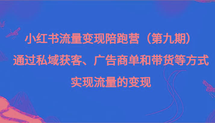 小红书流量变现陪跑营（第九期）通过私域获客、广告商单和带货等方式实现流量变现-搞个副业