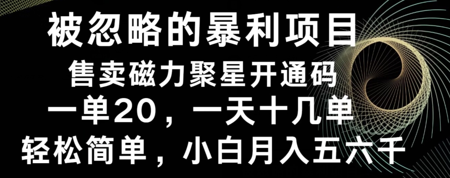 被忽略的暴利项目！售卖磁力聚星开通码，一单20，一天十几单，轻松月入五六千-搞个副业