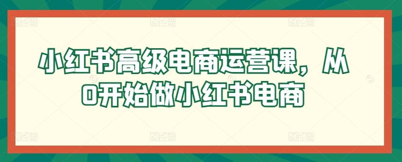 小红书高级电商运营课，从0开始做小红书电商-搞个副业