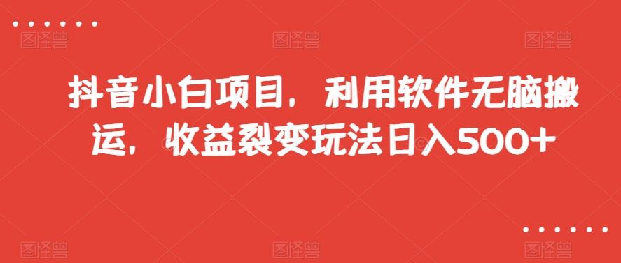 抖音小白项目，利用软件无脑搬运，收益裂变玩法日入500+【揭秘】-搞个副业