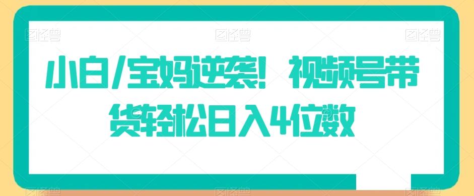小白/宝妈逆袭！视频号带货轻松日入4位数【揭秘】-搞个副业