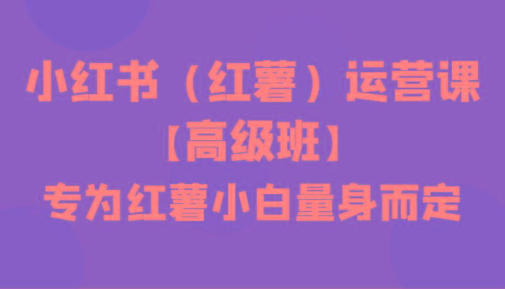 小红书(红薯)运营课【高级班】，专为红薯小白量身而定(42节课)-搞个副业